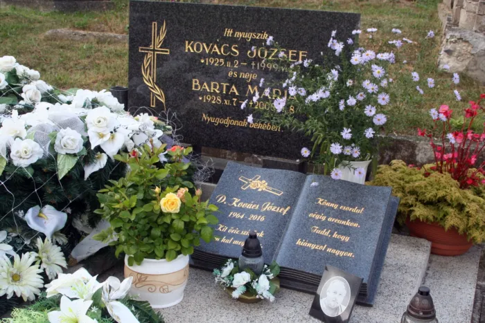 Master file0000067382