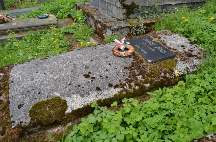 Master file0000076613