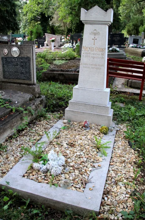 Master file0000079300