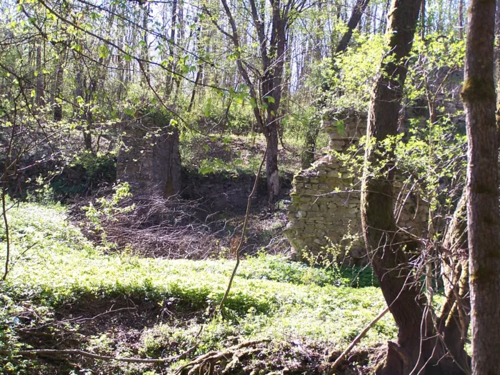 Master file0000039645