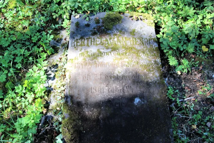 Master file0000074197