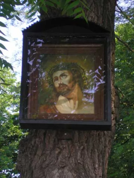 Master file0000066219