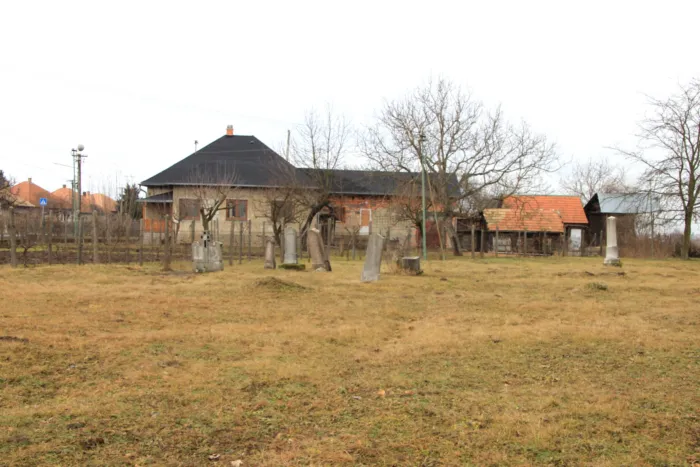 Master file0000060820