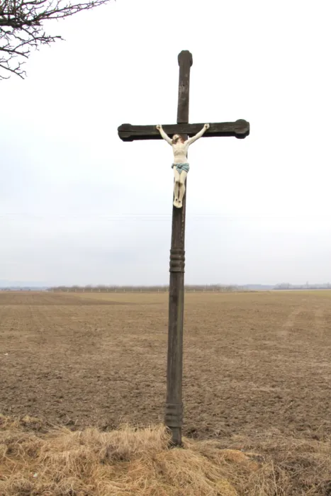 Master file0000078014