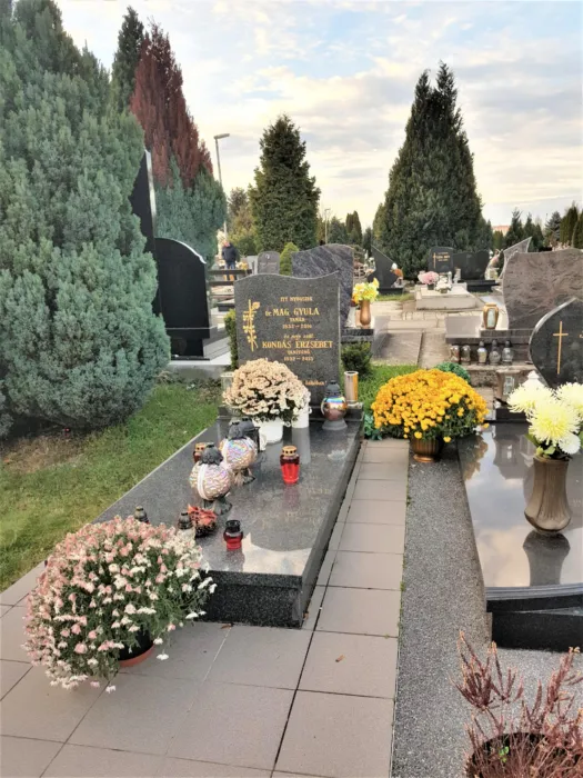 Master file0000079235