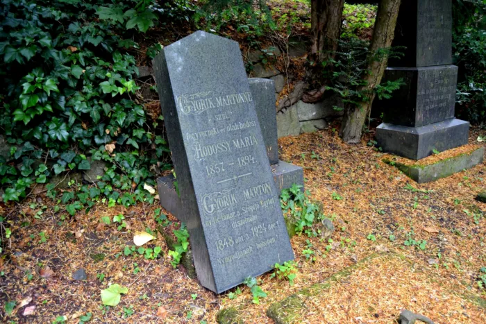 Master file0000076892