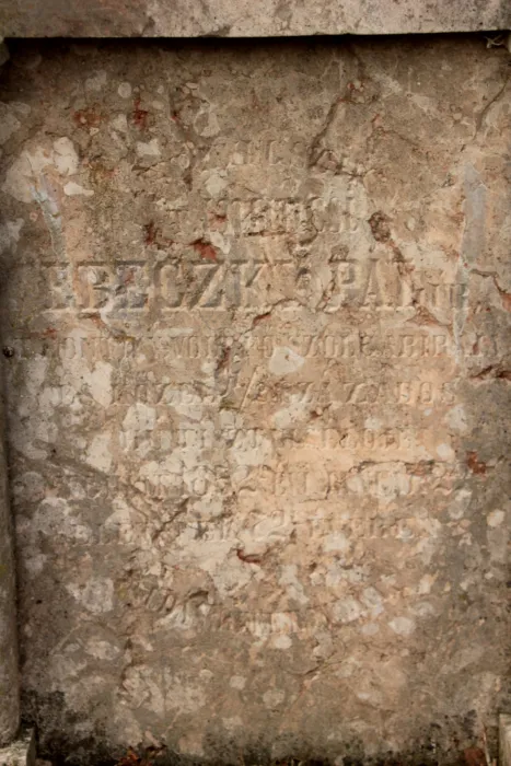 Master file0000066502