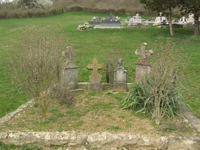 Master file0000070322