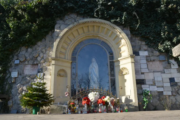 Master file0000062595