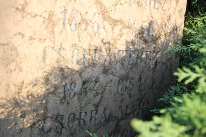 Master file0000072582