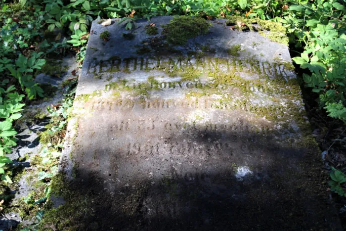 Master file0000077355