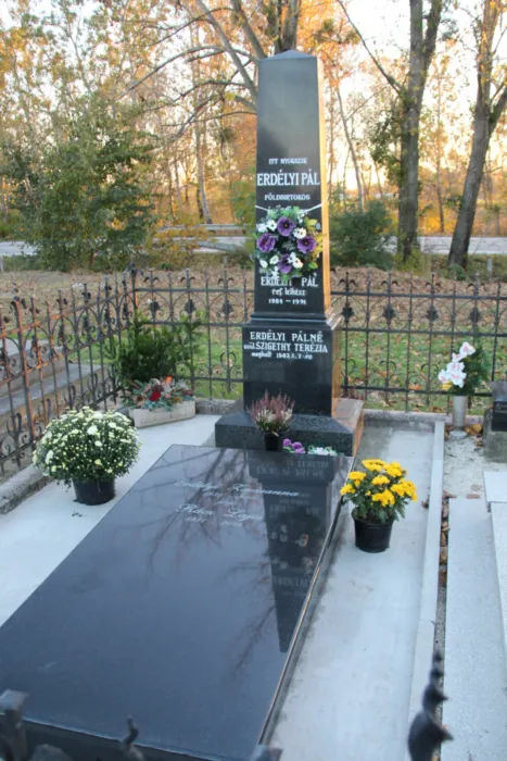 Master file0000078580