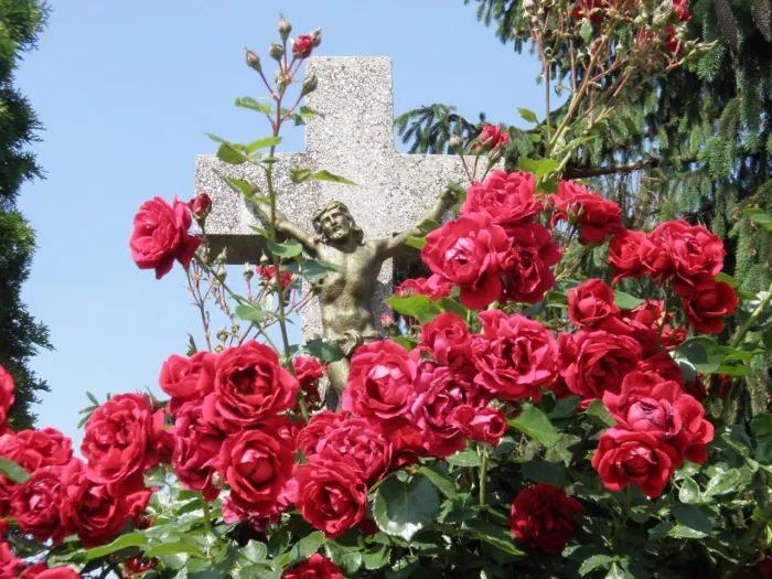 Master file0000059964