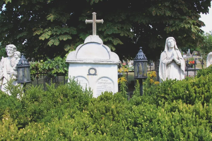 Master file0000078697