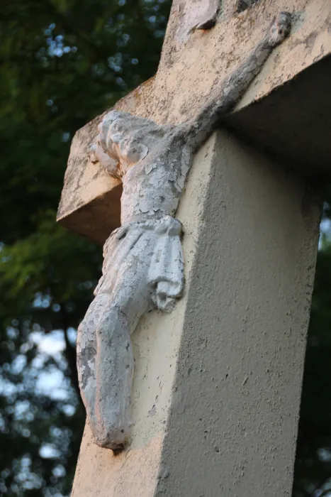 Master file0000074008