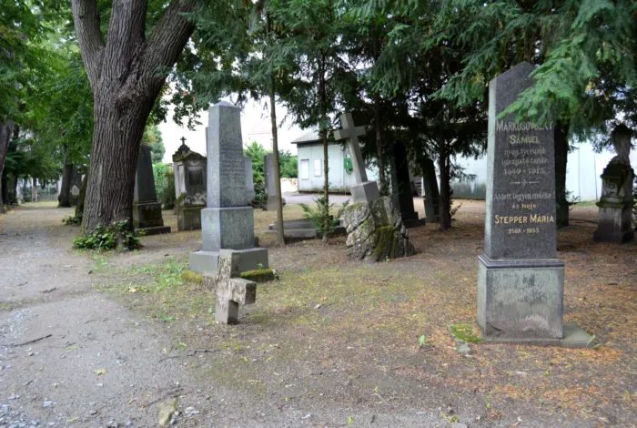 Master file0000075699