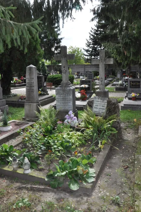 Master file0000078587