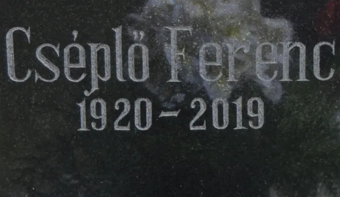 Master file0000078137