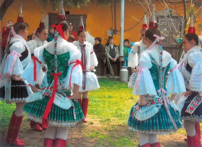 Master file0000038765