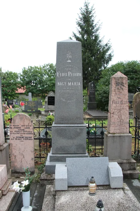 Master file0000078924