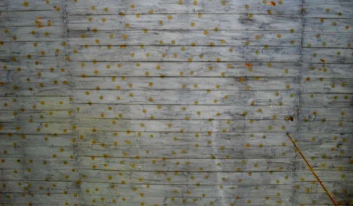 Master file0000068933