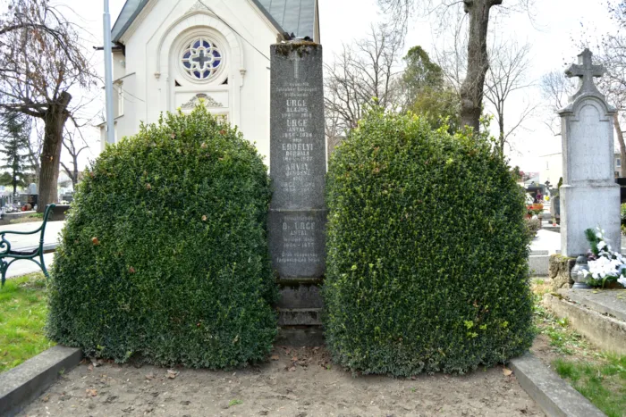 Master file0000072802