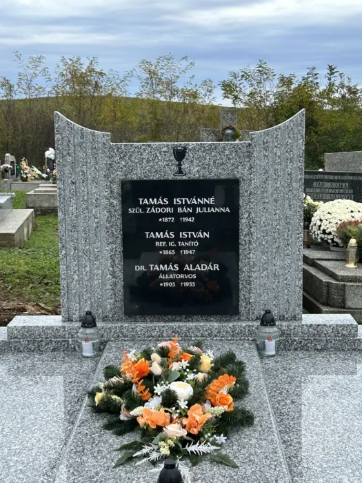 Master file0000081065