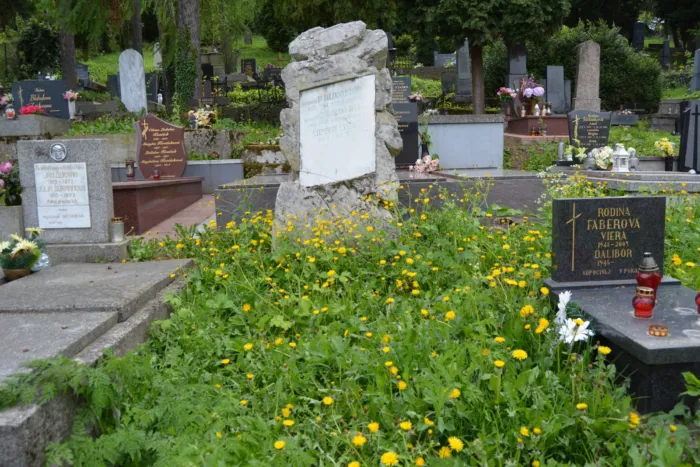 Master file0000070032