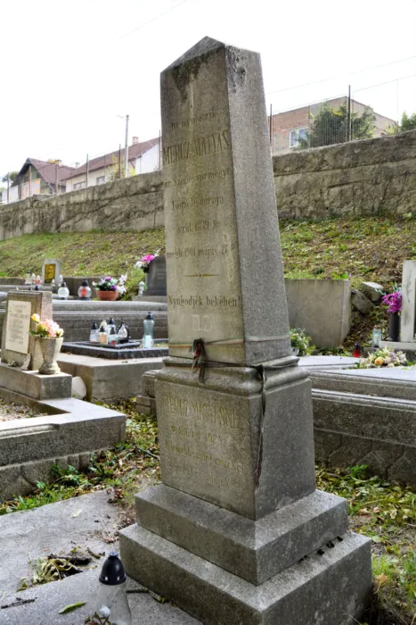 Master file0000061741