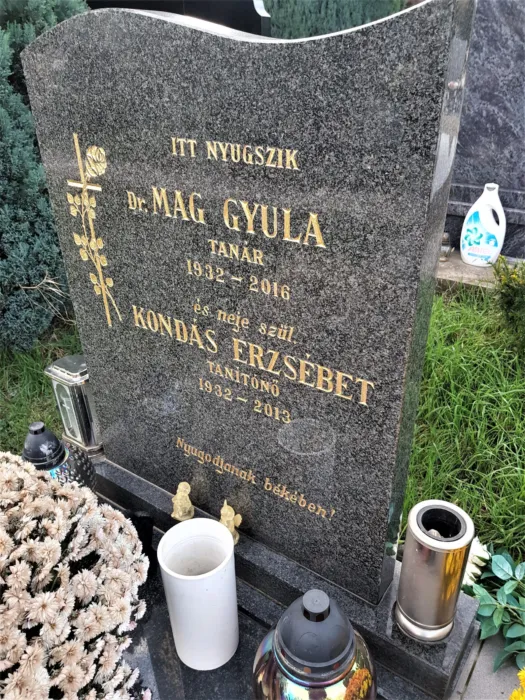 Master file0000068152