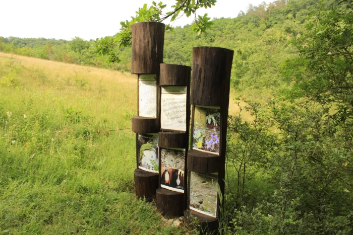 Master file0000038956