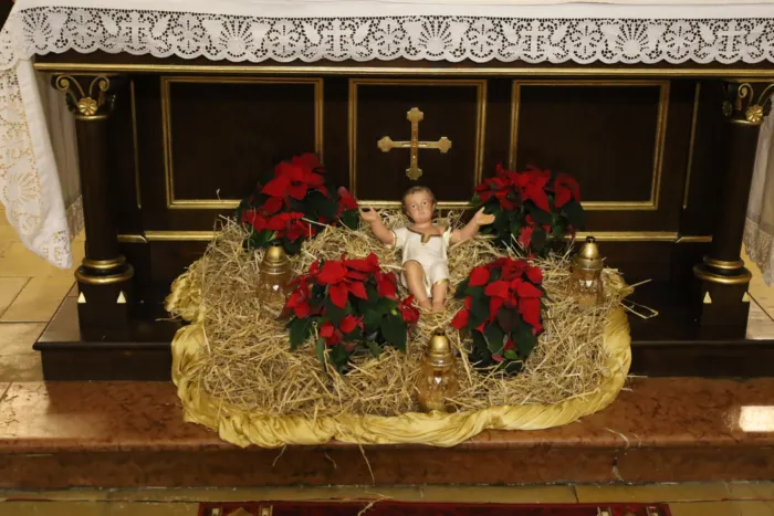 Master file0000053837