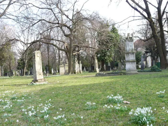 Master file0000079318