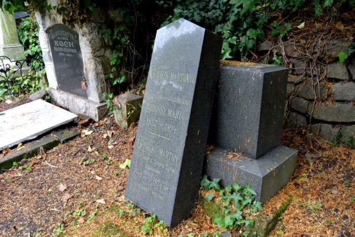 Master file0000062702