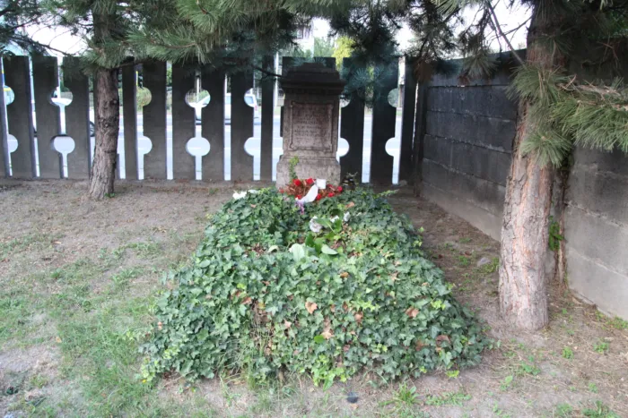 Master file0000060431