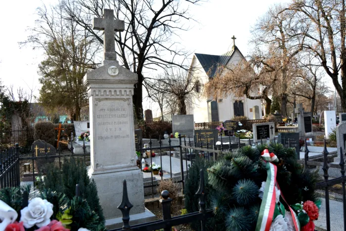 Master file0000080463