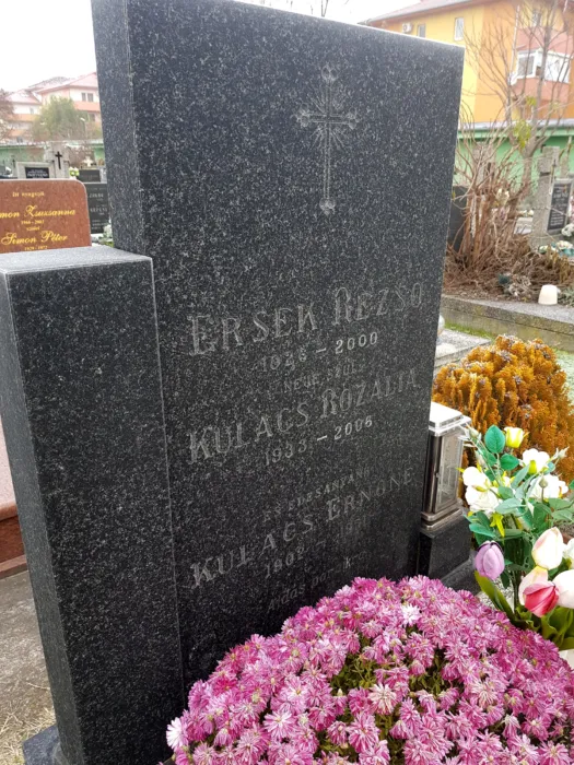 Master file0000075958