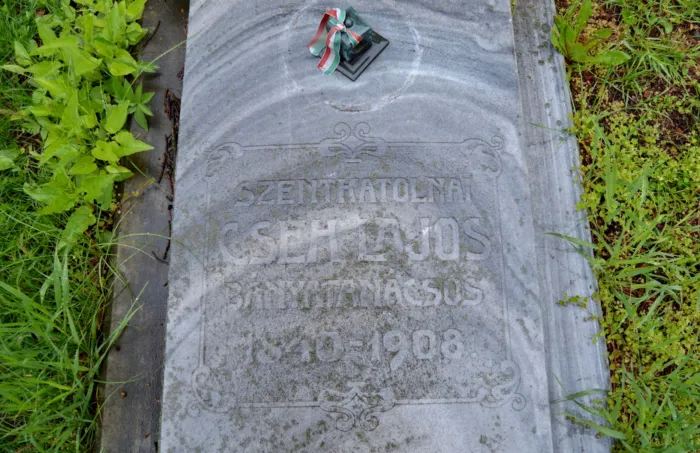 Master file0000068599