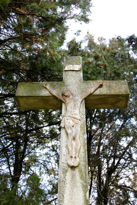 Master file0000075472