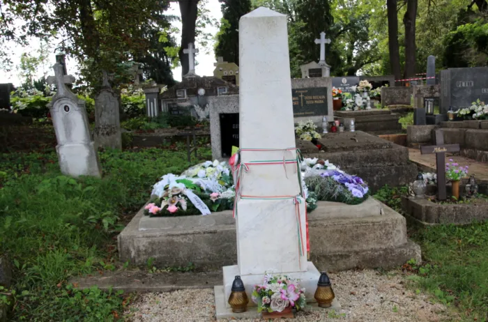 Master file0000066454