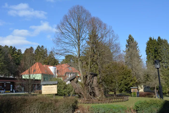 Master file0000066485