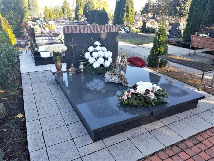 Master file0000069715