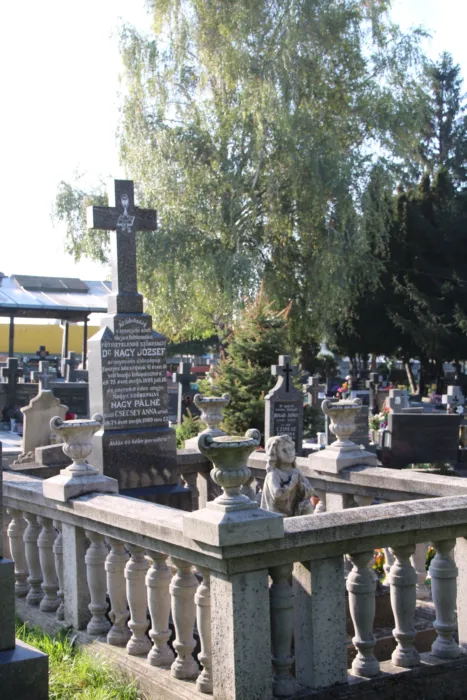 Master file0000066049