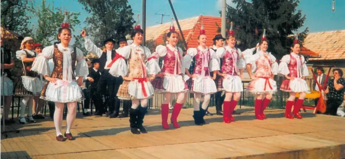 Master file0000038809