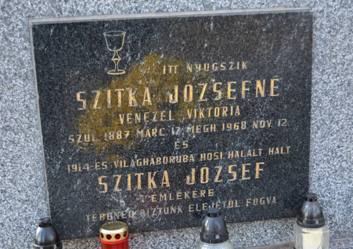 Master file0000080487