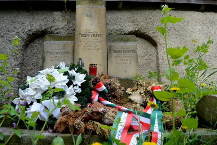 Master file0000065663