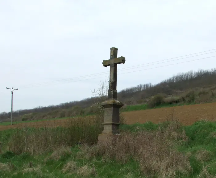 Master file0000075750