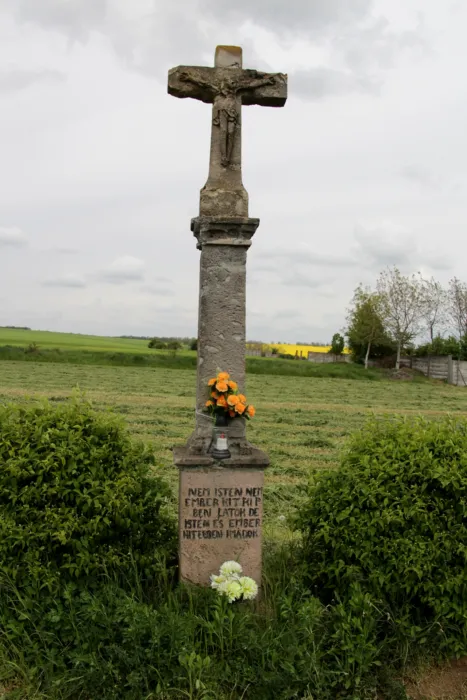 Master file0000069390