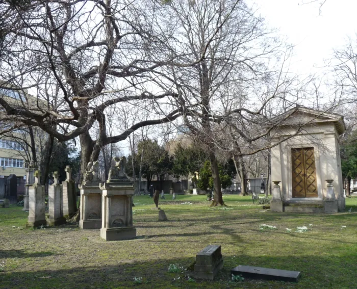 Master file0000076017