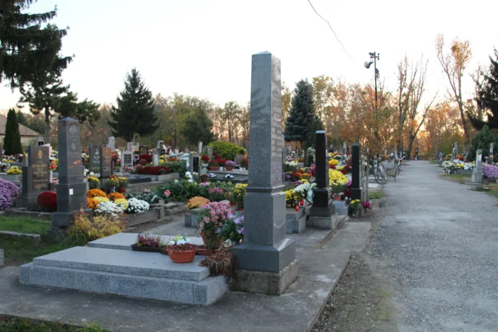 Master file0000071253